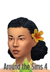Custom content for Sims 4