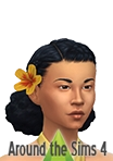 Custom content for Sims 4