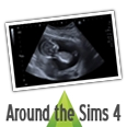 Echography