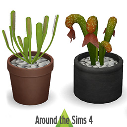 Carnivorous plants