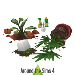 Plant (hard) life